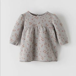 Zara Floral Jacquard Dress